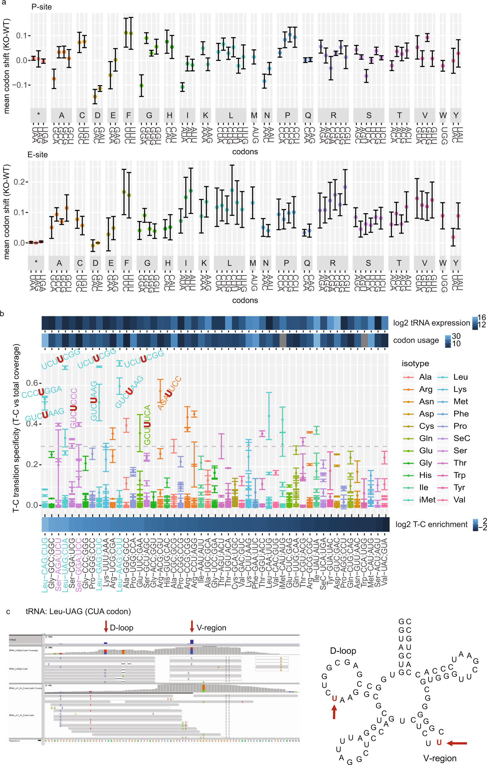 Fig. 6: HDLBP crosslinks to tRNAs decoding CU/UU-containing codons.