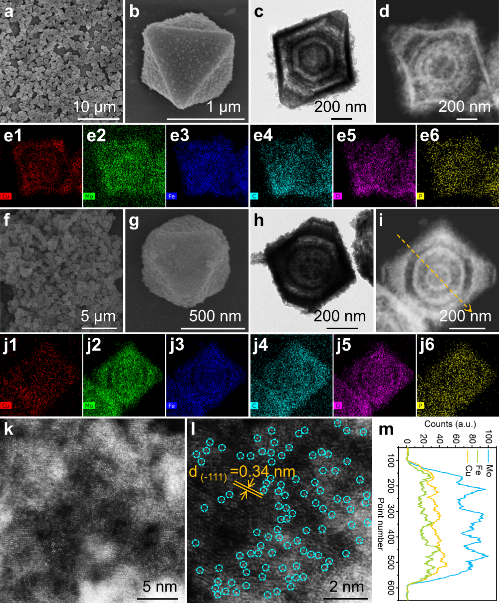 Fig. 2: Morphological and structural characterization.