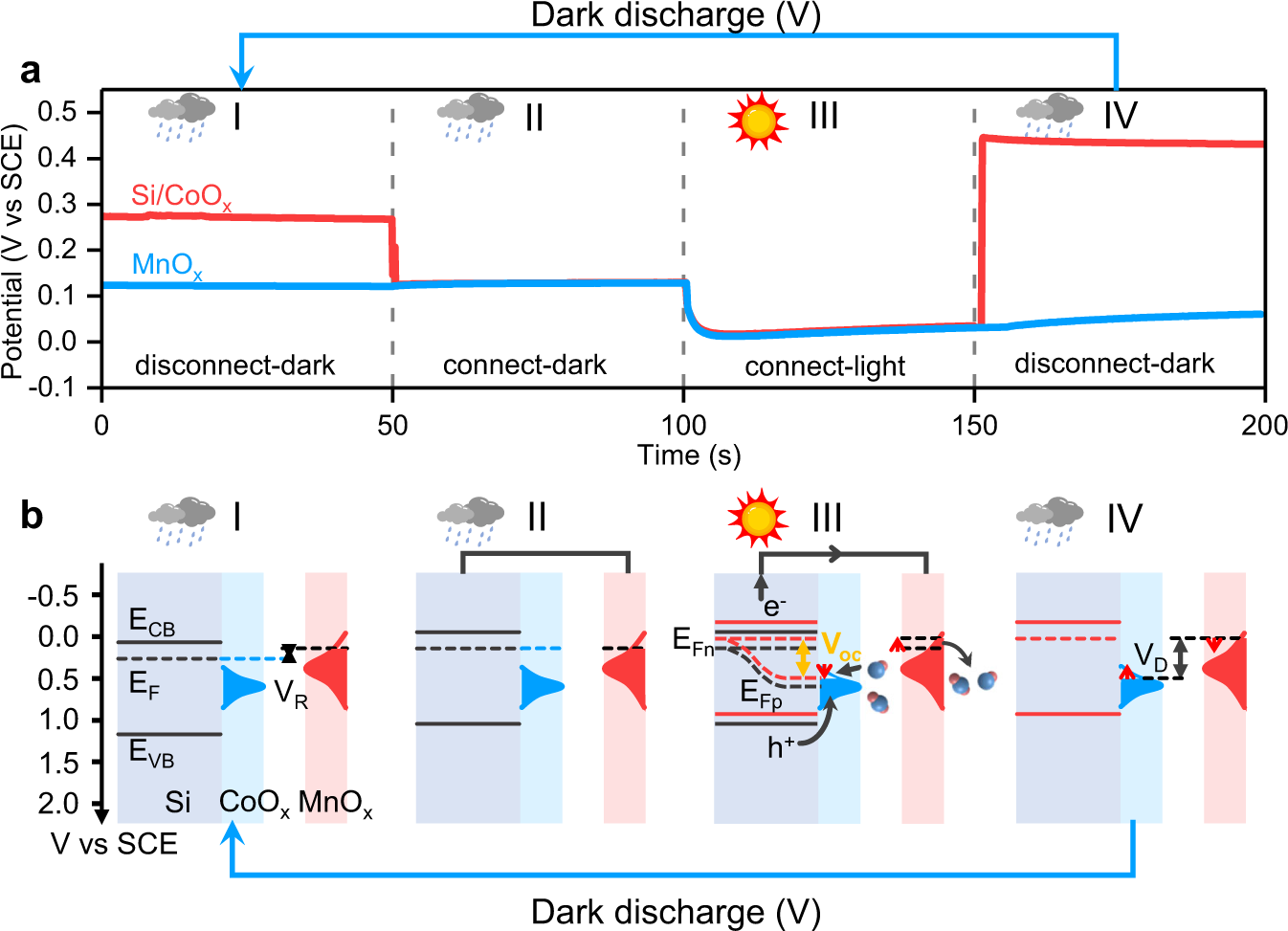 Fig. 3: A mechanism of the photovoltage memory effect in a Si/CoOx/KBi(aq)/MnOx Faradaic junction device.