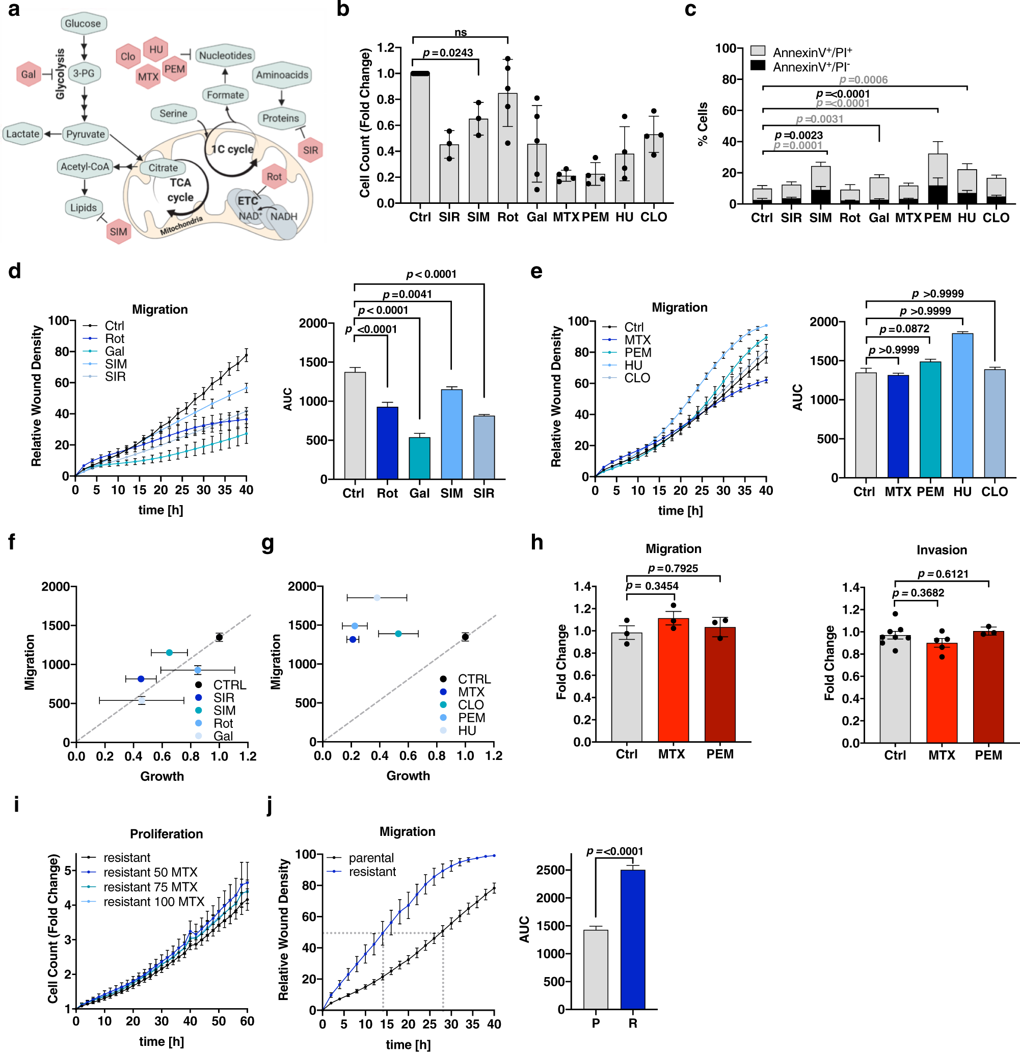 Mitochondria preserve an autarkic one-carbon cycle to confer  growth-independent cancer cell migration and metastasis | Nature  Communications