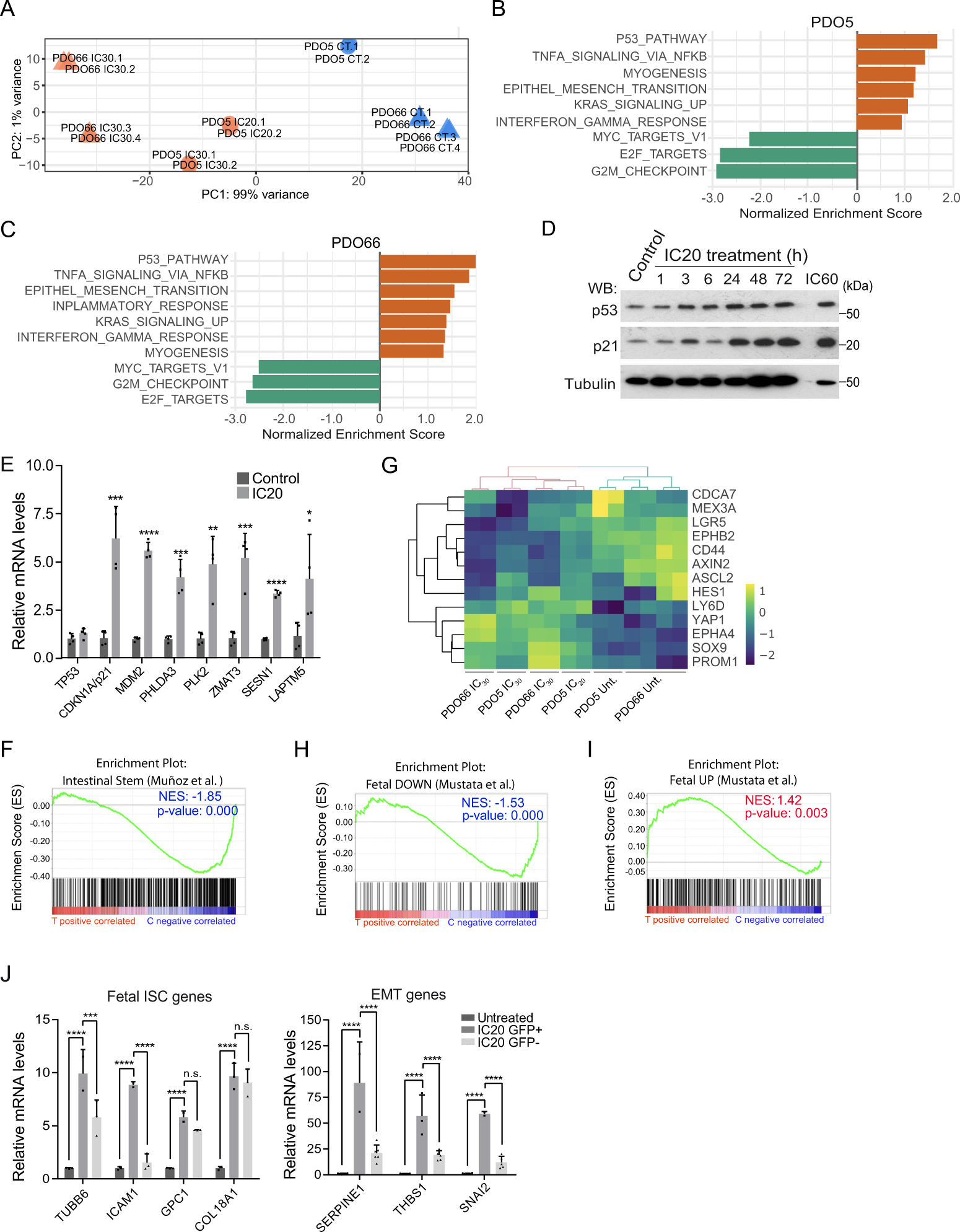 Fig. 3: PQL phenotype is associated with the acquisition of a fetal intestinal stem cell (feISC) signature.