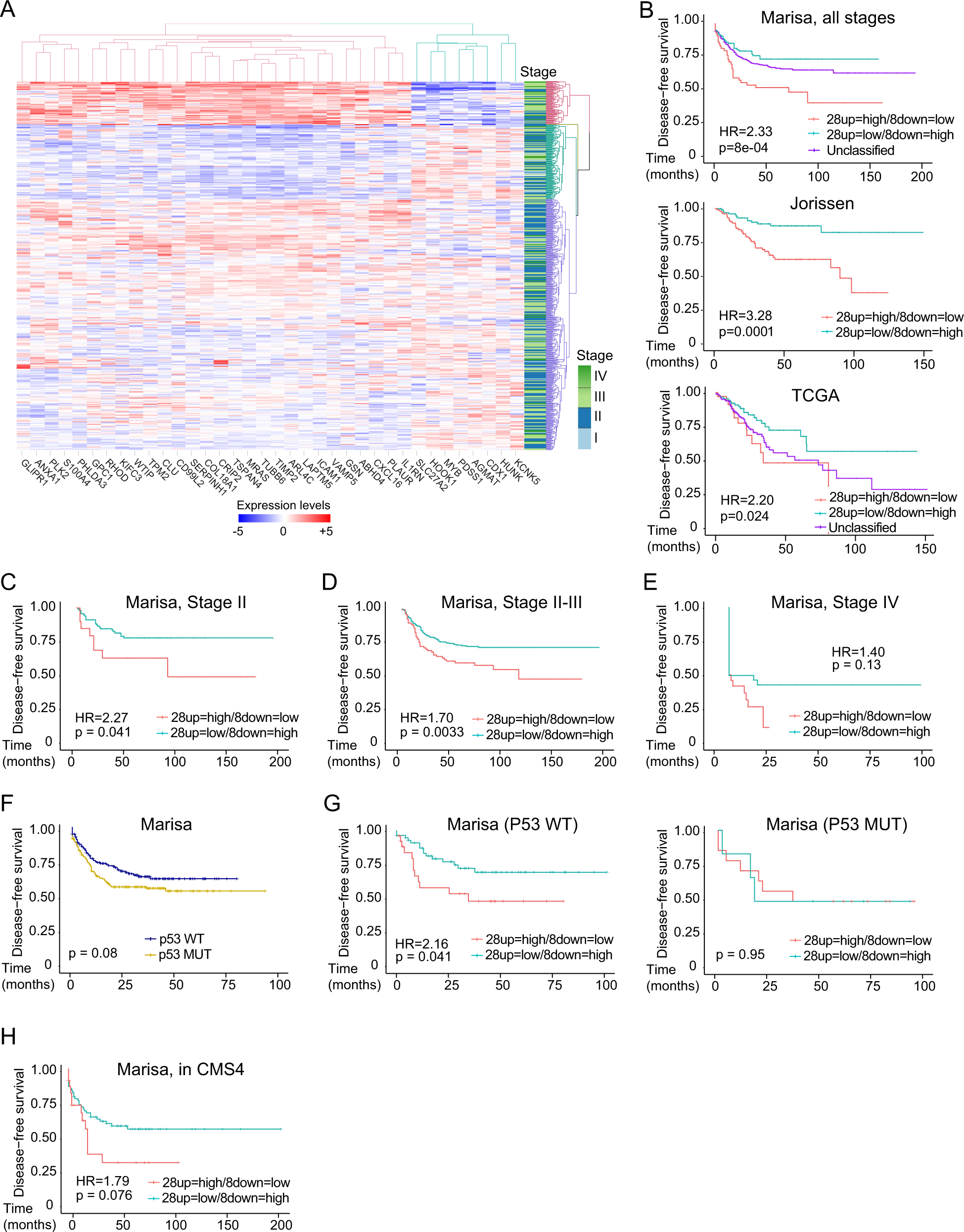 Fig. 6: Identification of a fetal ISC signature with prognosis value in CRC.