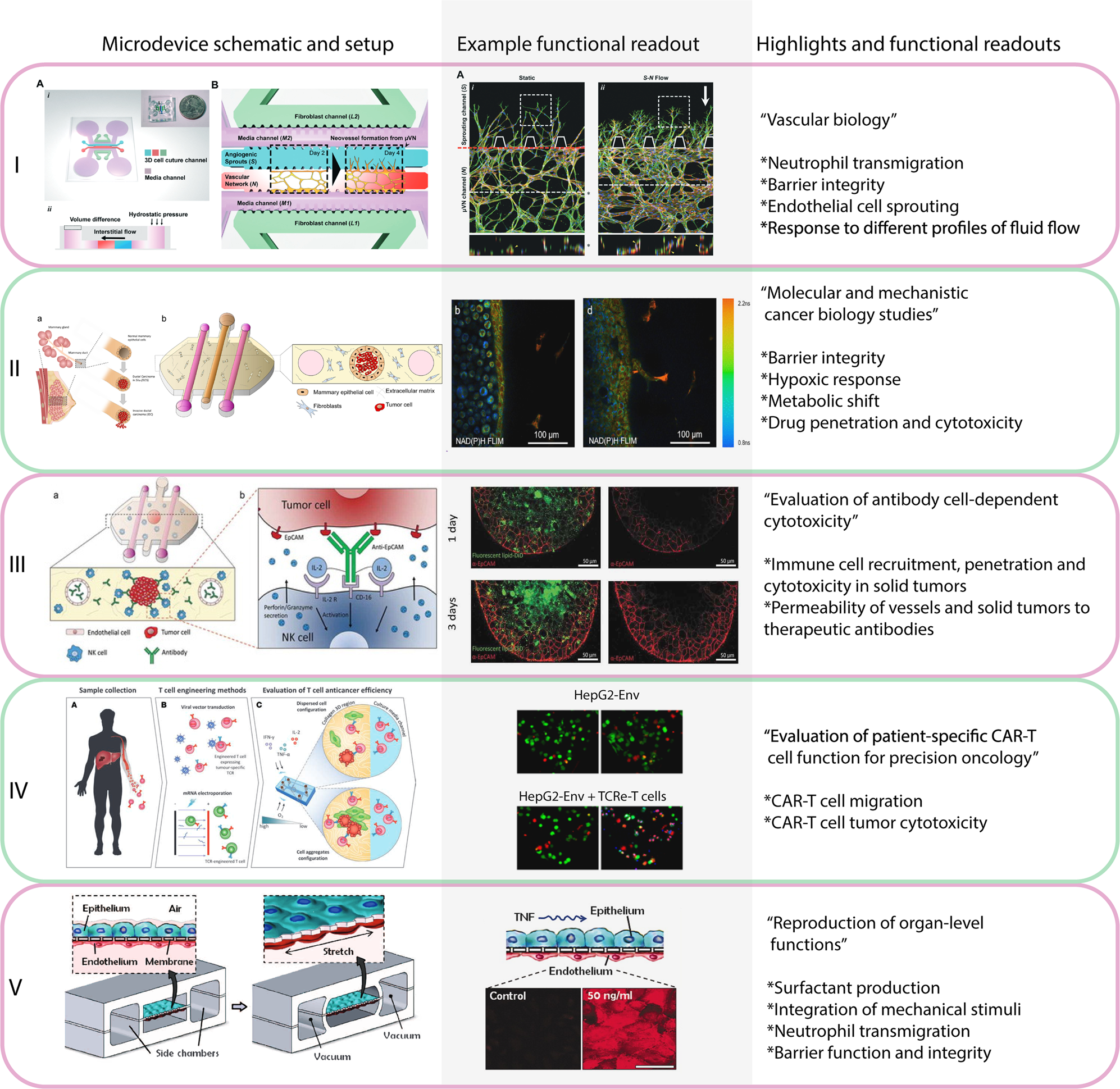 System Modularity Chip for Analysis of Rare Targets (SMART-Chip): Liquid  Biopsy Samples