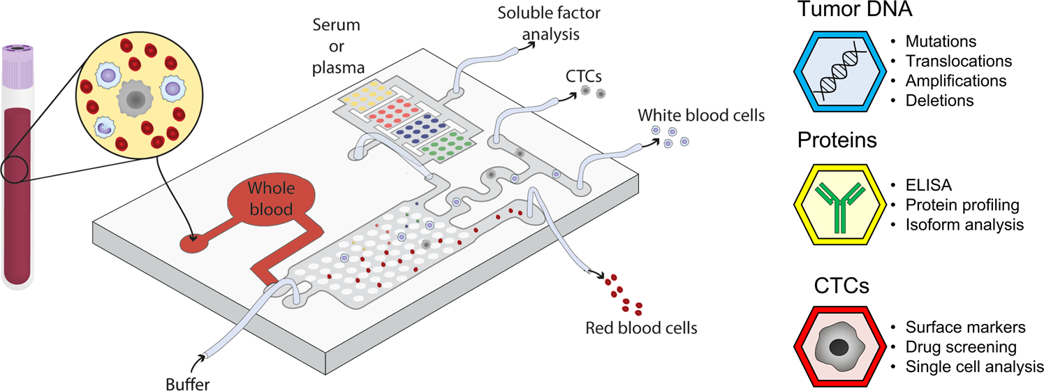 Fig. 3: Microfluidic models for molecular diagnostics.