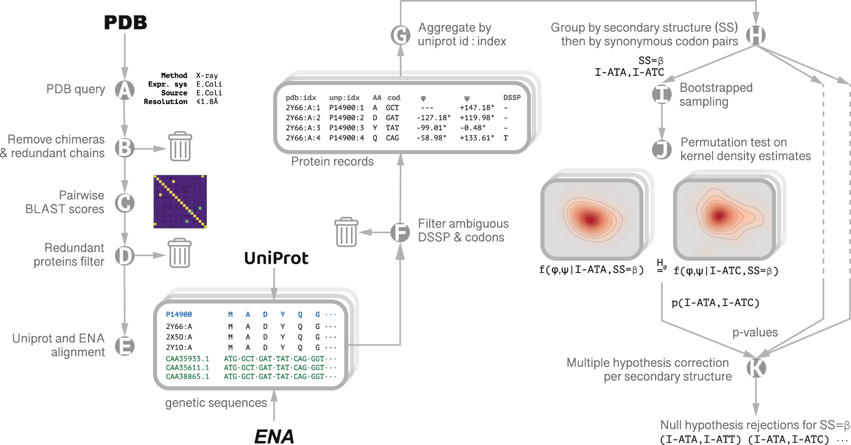 Codon-specific Ramachandran plots show amino acid backbone conformation  depends on identity of the translated codon | Nature Communications