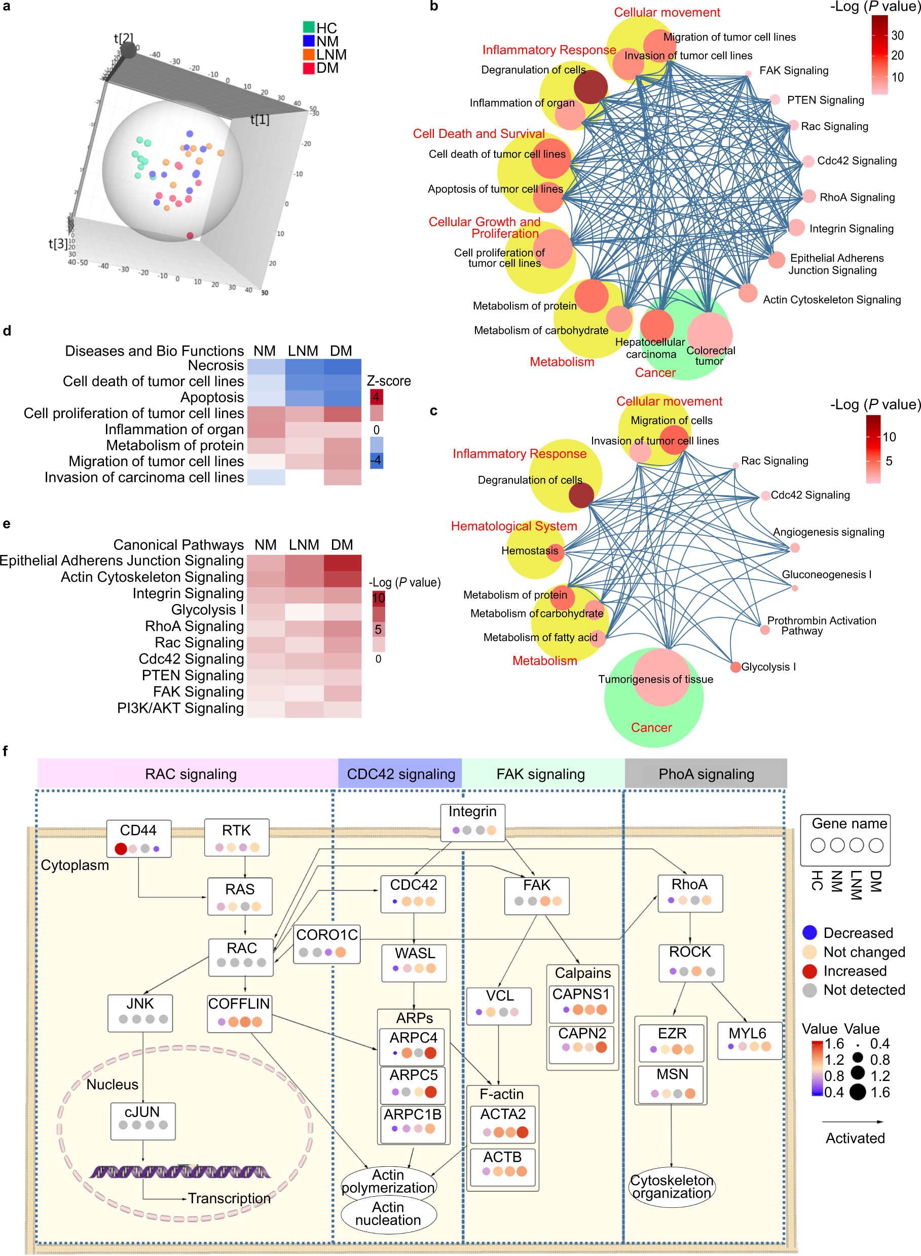 Fig. 2: Quantitative urinary proteomics analysis in CRC at the discovery stage.