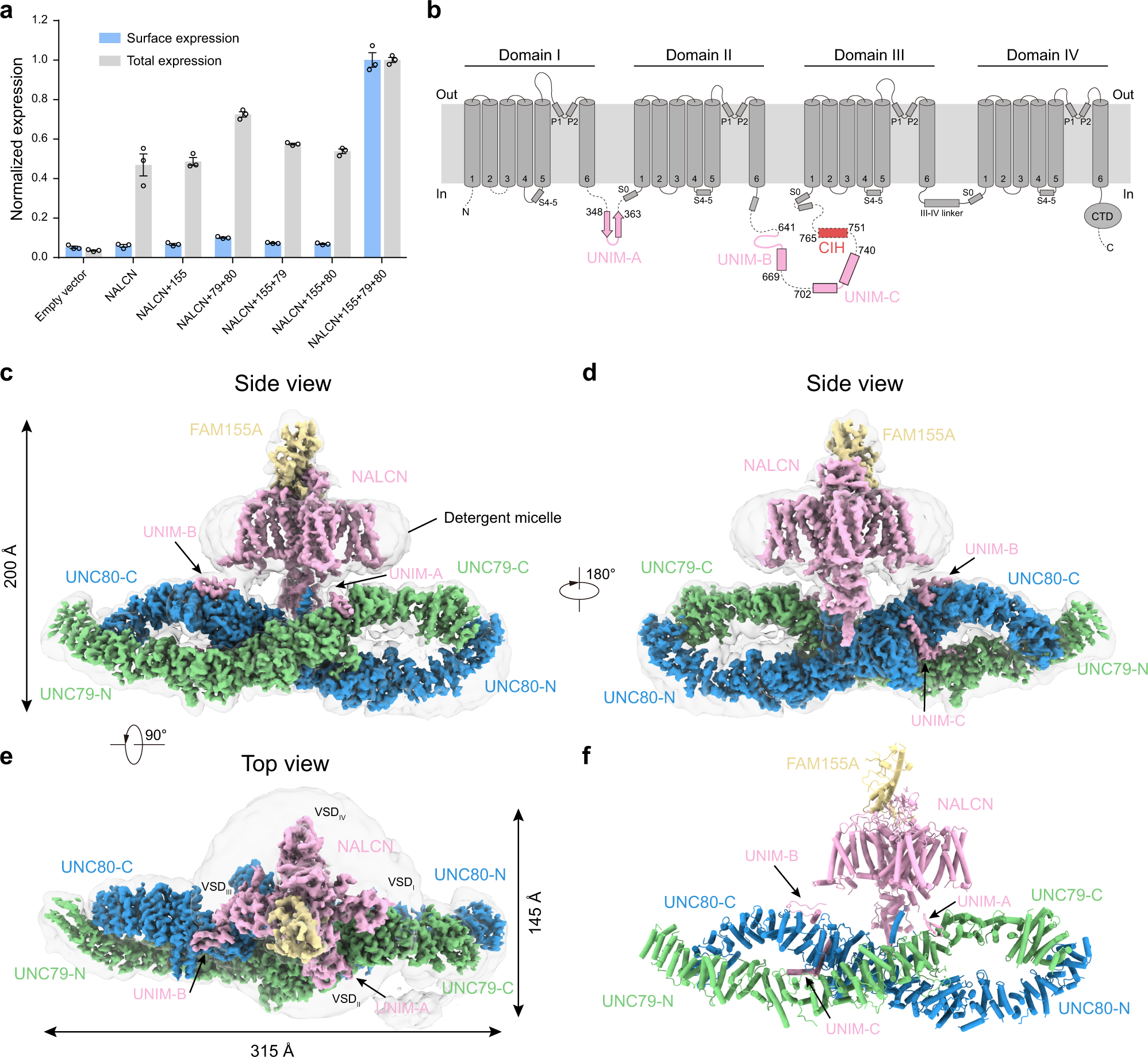 Structure And Mechanism Of Nalcn Fam155a Unc79 Unc80 Channel Complex Nature Communications