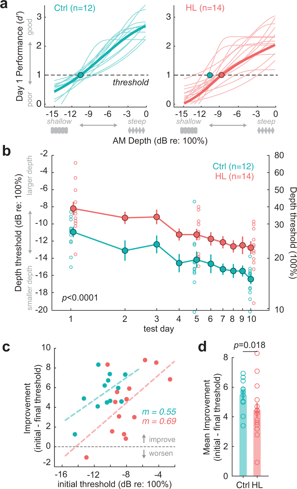Fig. 3: Transient hearing loss during adolescence impairs amplitude modulation (AM) depth detection in adulthood.