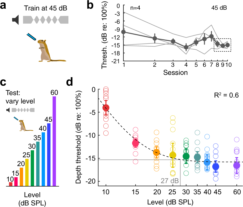 Fig. 9: Control experiment: AM depth detection thresholds remain stable across relevant sound levels.