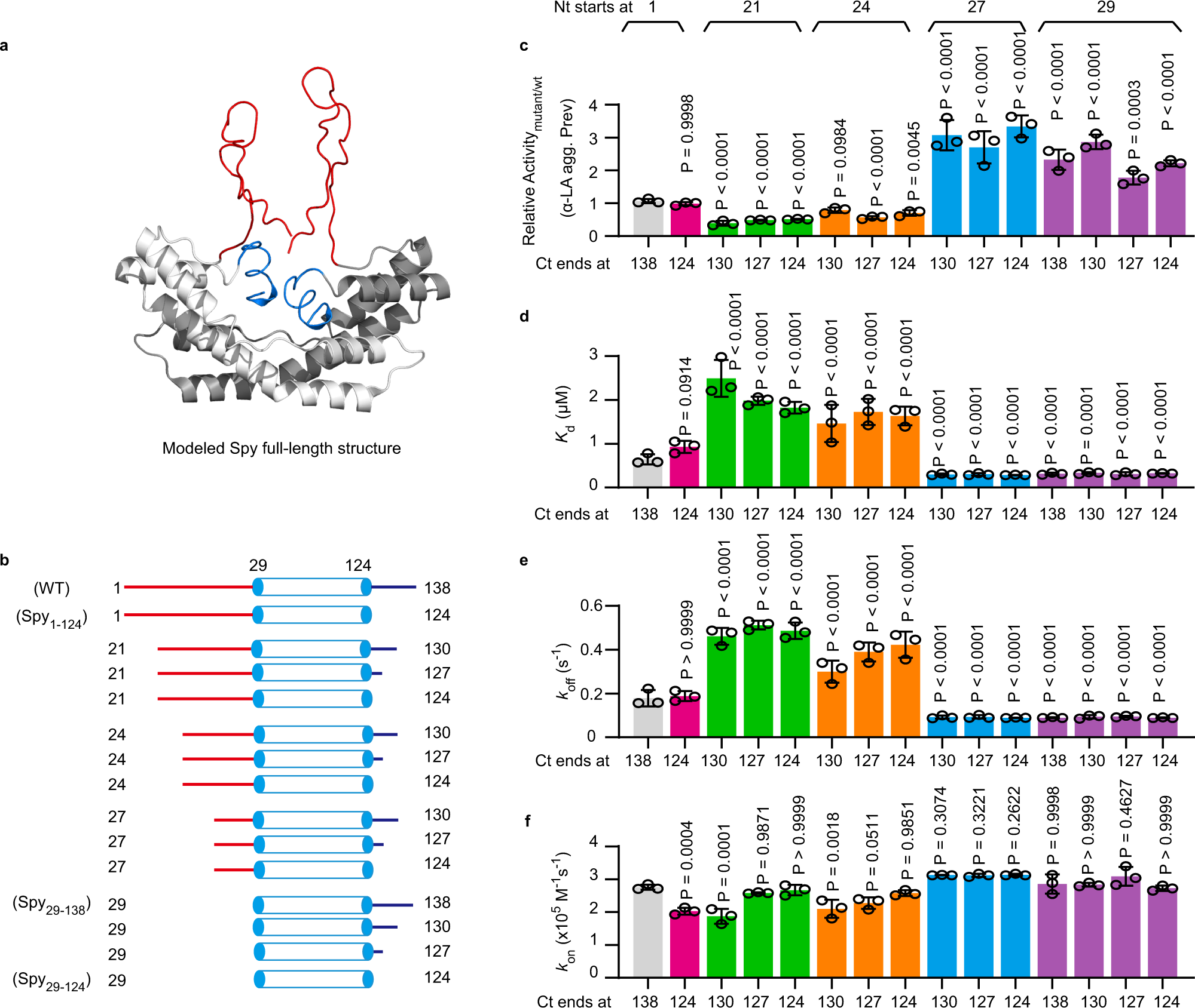 Fig. 1: The disordered N terminus of Spy is involved in client protein release.