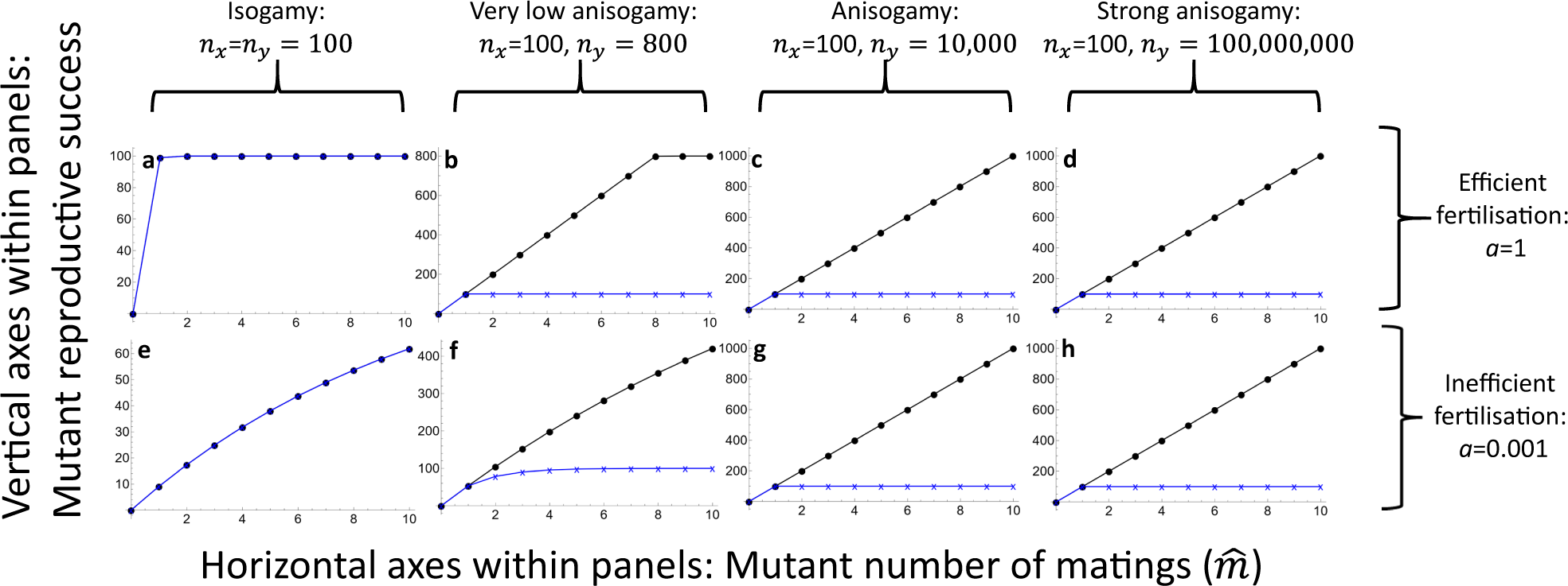 Bateman gradients from first principles | Nature Communications