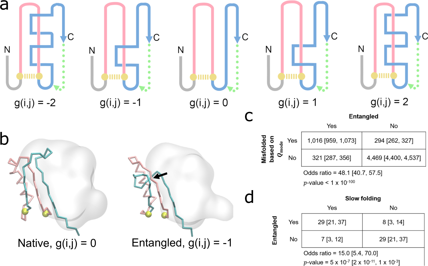 Fig. 3: Detecting non-native entanglements in a monomeric protein structure.