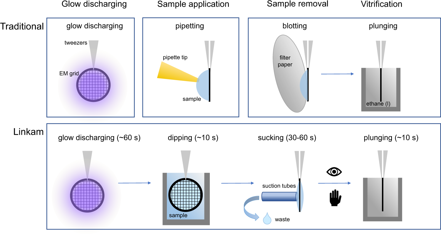 https://media.springernature.com/full/springer-static/image/art%3A10.1038%2Fs41467-022-30562-7/MediaObjects/41467_2022_30562_Fig1_HTML.png