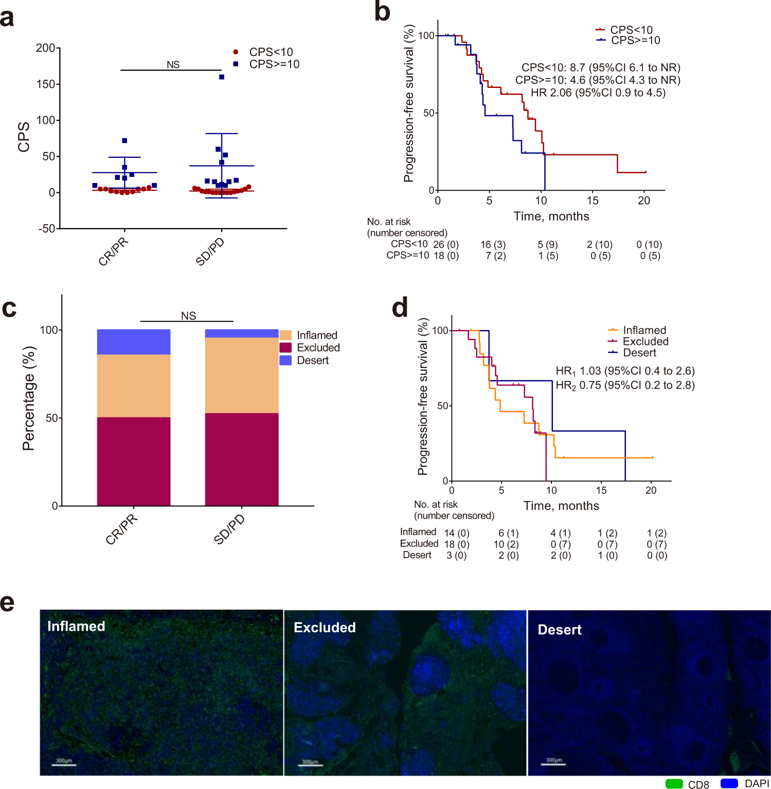 Fig. 4: Biomarker analysis of CPS and immunophenotypes of tumor.