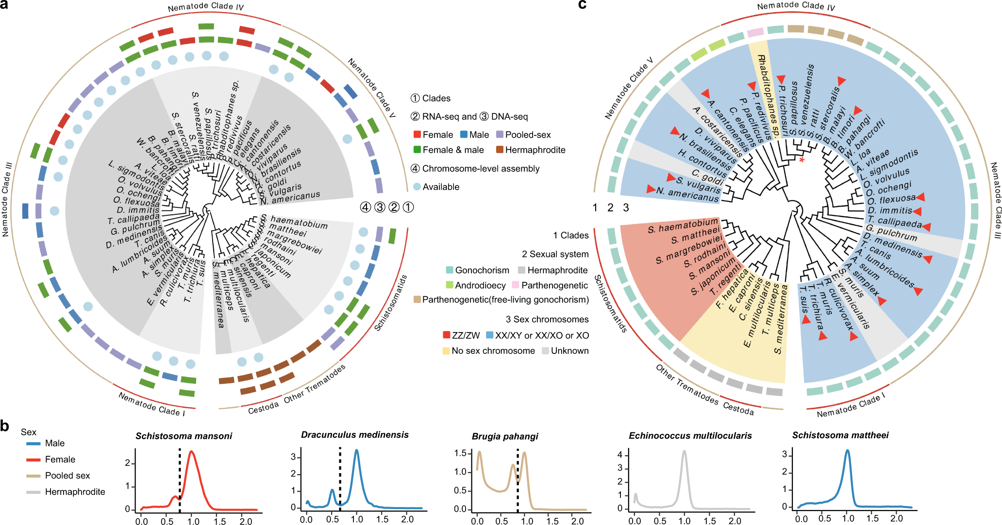 Evolution of sexual systems, sex chromosomes and sex-linked gene transcription in flatworms and roundworms Nature Communications photo image