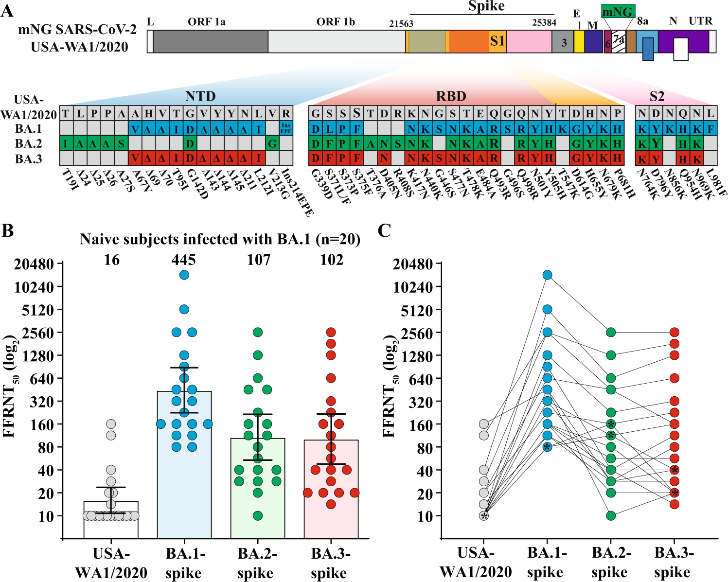 Fig. 1: Cross-neutralization of human sera from unvaccinated individuals who were infected with Omicron BA.1 SARS-CoV-2.