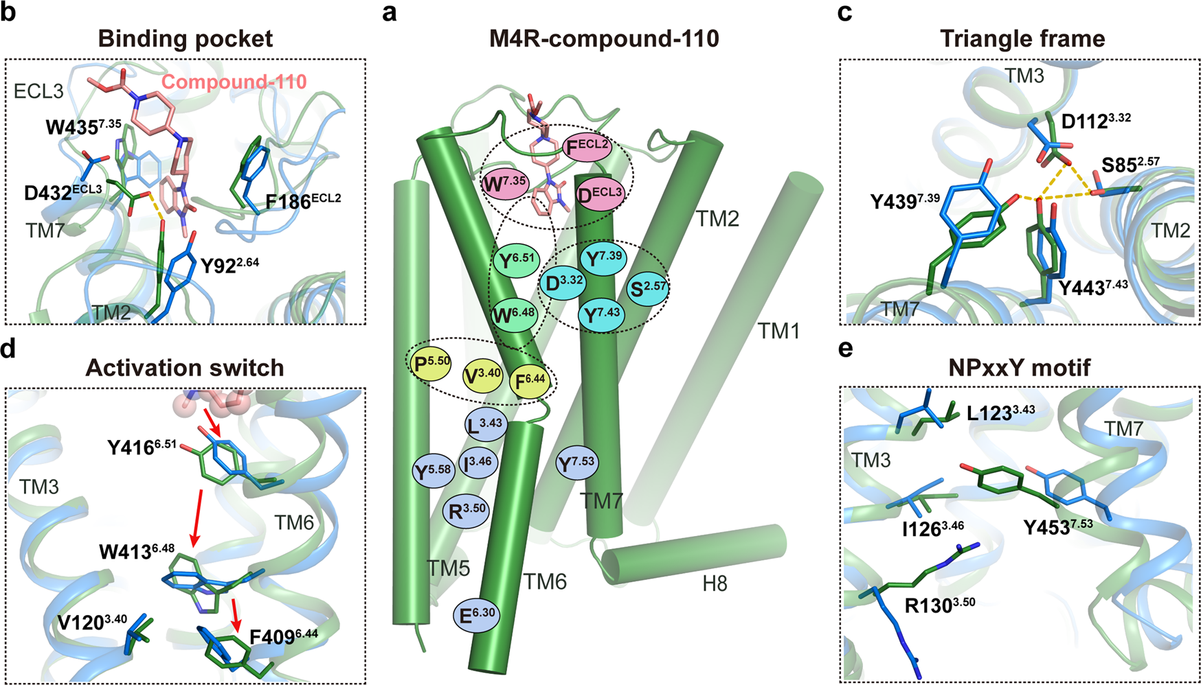 Fig. 4: The unconventional activation mechanism of compound-110.