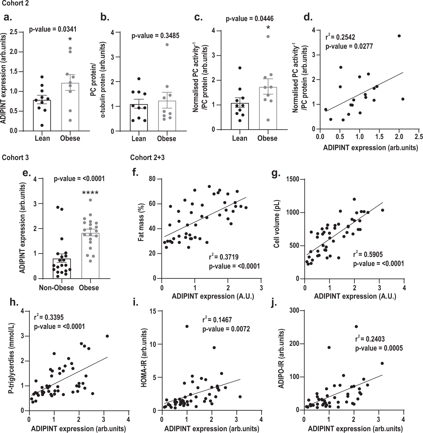 Fig. 6: Subcutaneous adipose ADIPINT expression and PC activity correlate with each other and are increased in obesity.