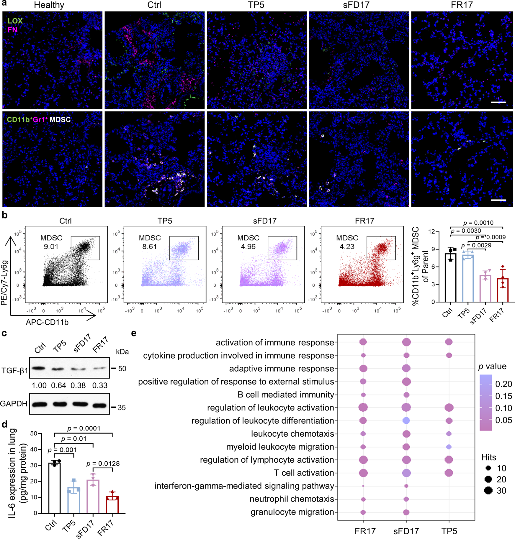 Fig. 5: FR17 administration prevents MDSC recruitment, pausing the development of the immunosuppressive microenvironment in PMN.