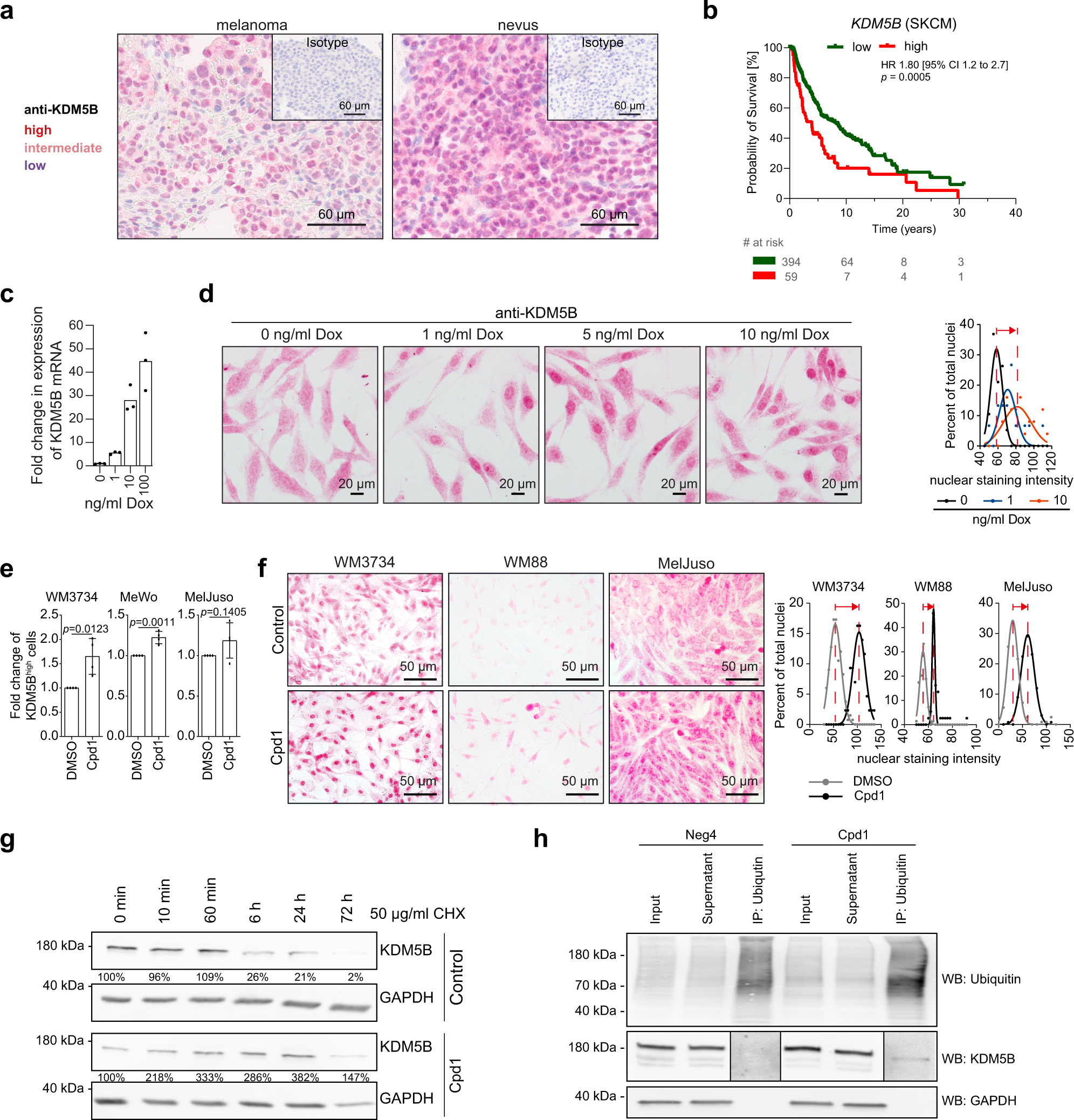 tv guide omaha ne cox