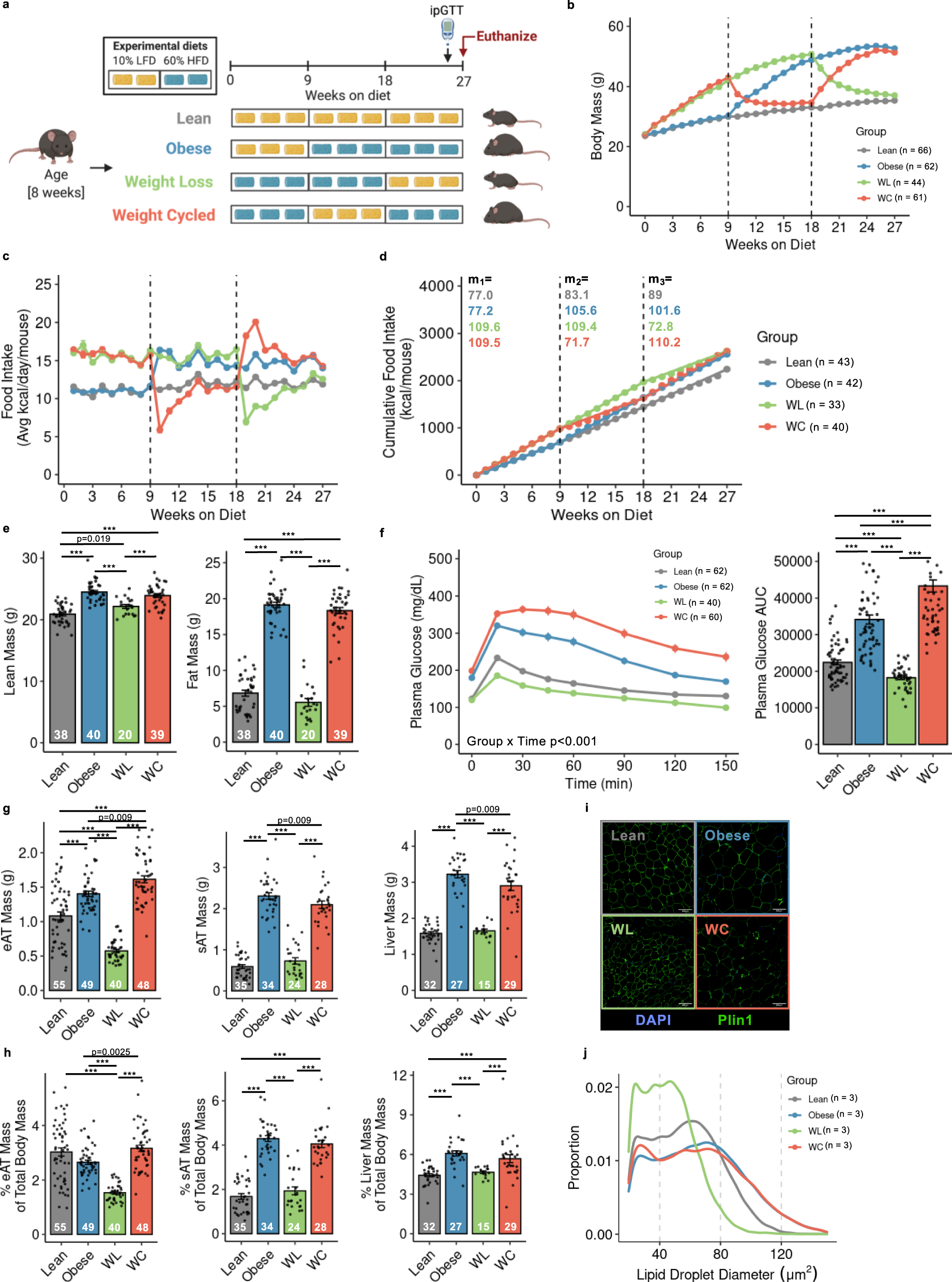 Multiomics reveals persistence of obesity-associated immune cell phenotypes  in adipose tissue during weight loss and weight regain in mice | Nature  Communications