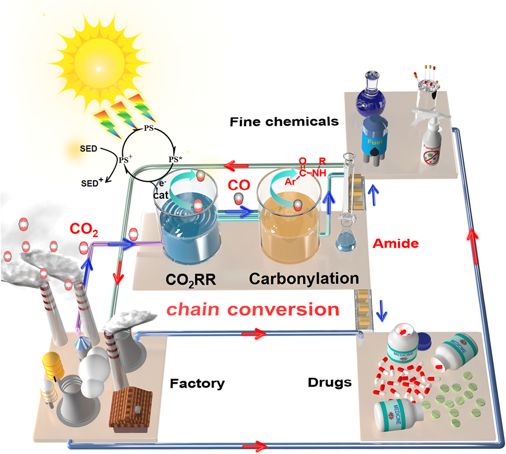 Tandem utilization of CO2 photoreduction products for the carbonylation of  aryl iodides | Nature Communications