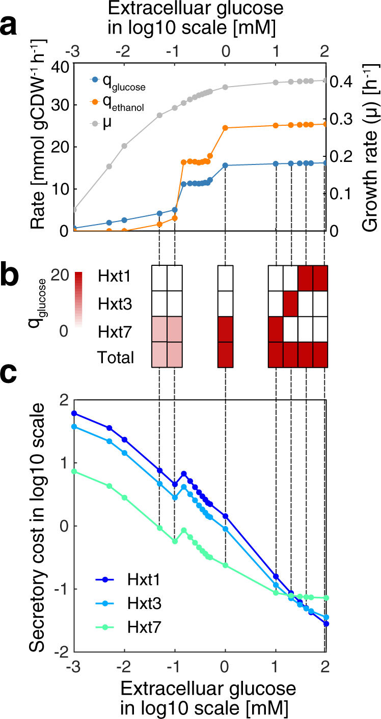 Fig. 2: Simulated physiological response of S. cerevisiae as a function of the extracellular glucose concentration.