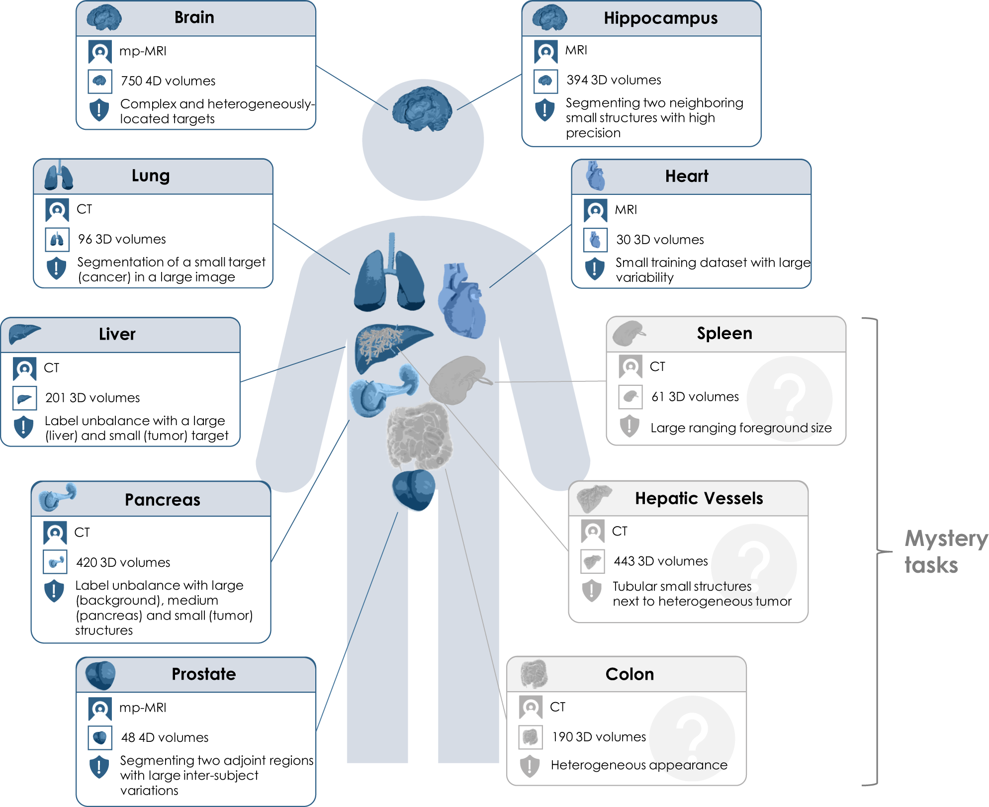 The Medical Segmentation Decathlon | Nature Communications