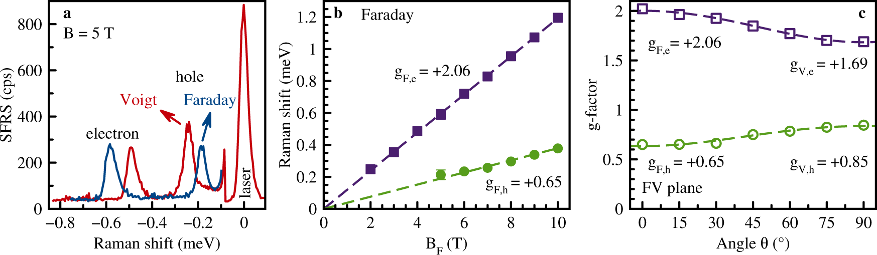Fig. 3: Spin-flip Raman scattering of CsPbBr3.