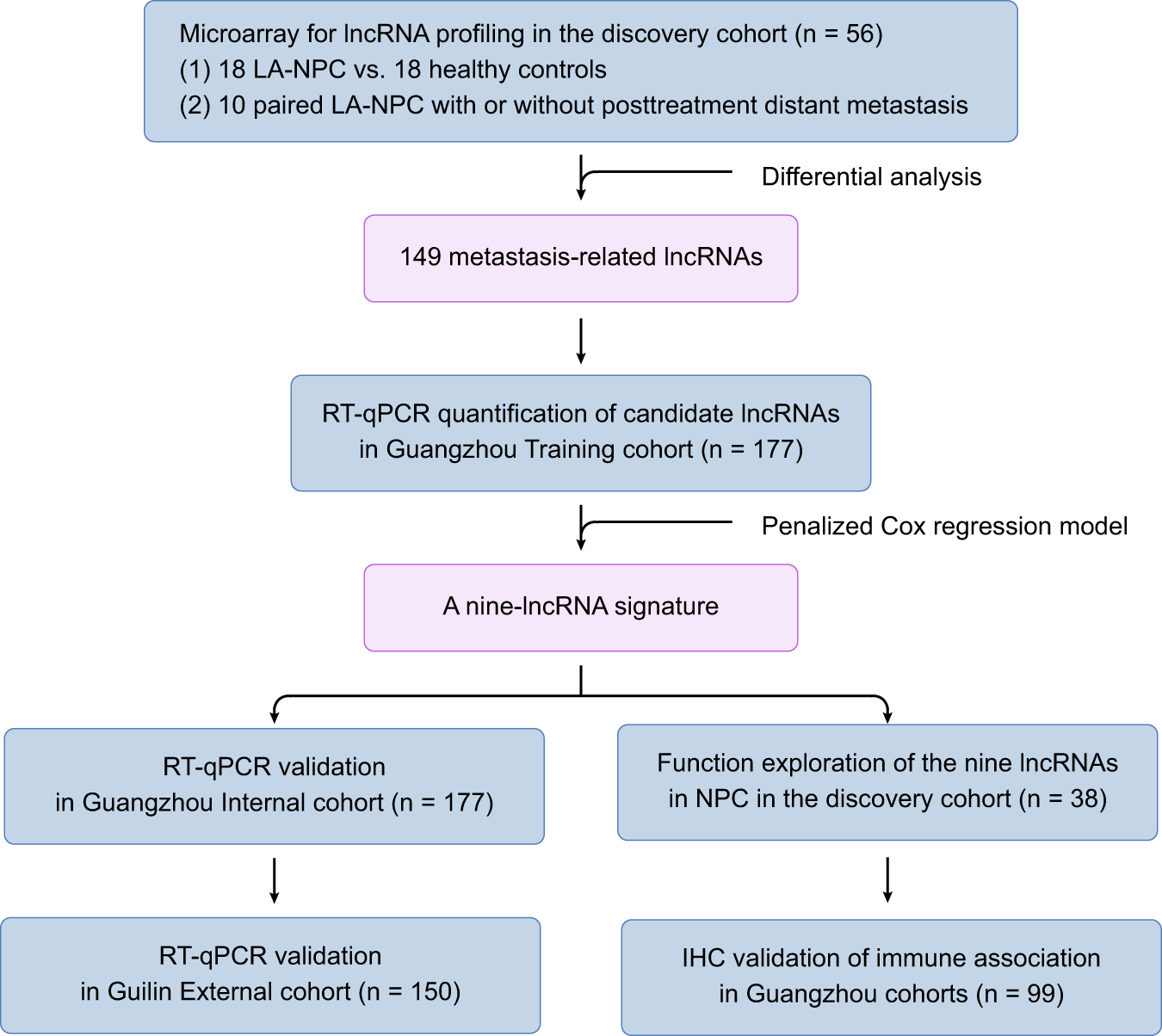 Fig. 1: Study design.