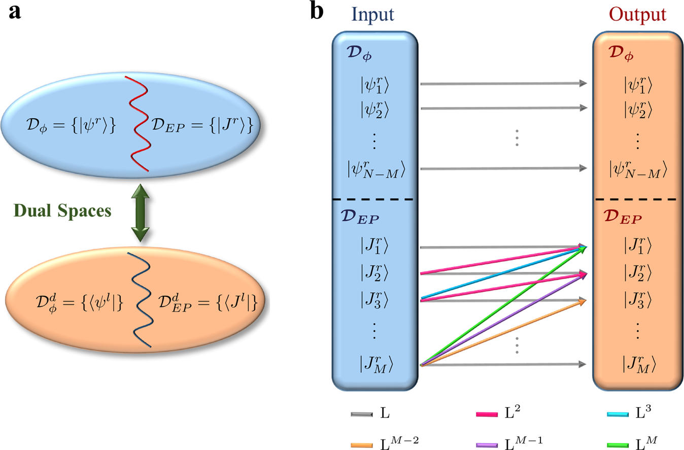 Fig. 5: Structure of the eigenspace and its fingerprint on the linear response.