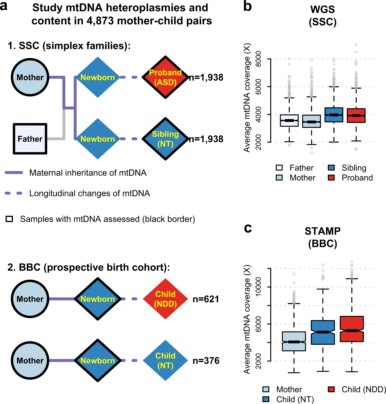 Association of mitochondrial DNA content, heteroplasmies and  inter-generational transmission with autism | Nature Communications