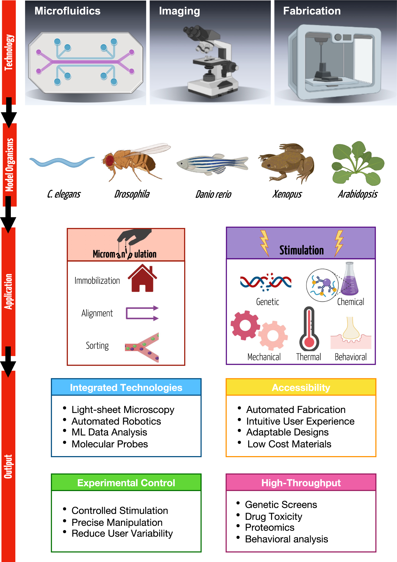 Microfluidics for understanding model organisms | Nature Communications
