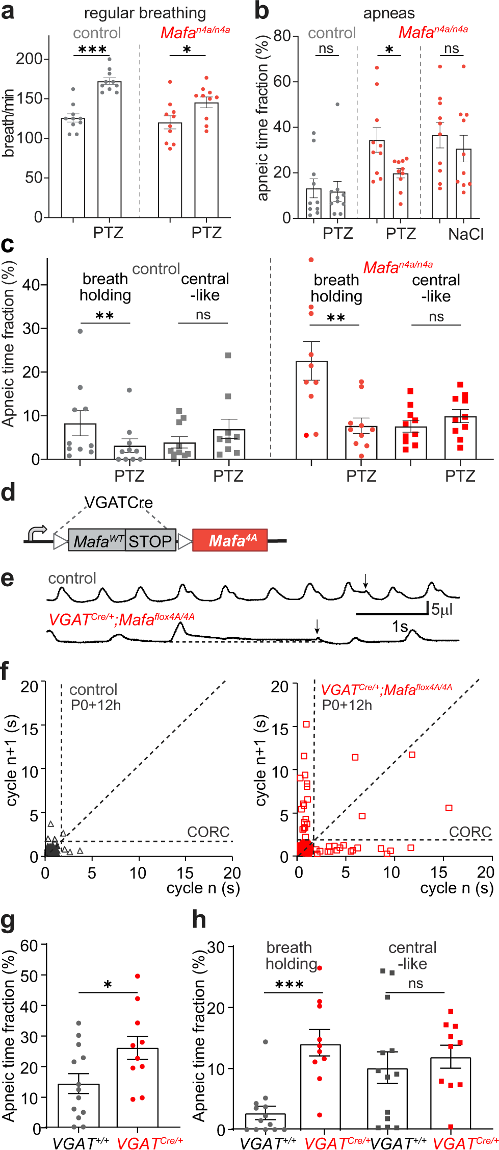 Fig. 3: Mafa-4A-induced breath holding apneas rely on GABAergic synaptic transmission.