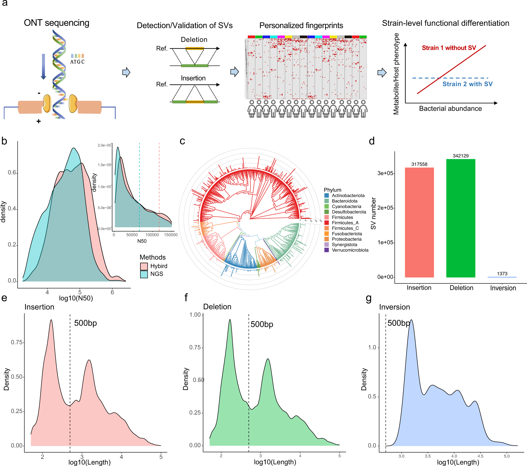 Evaluation of taxonomic classification and profiling methods for long-read  shotgun metagenomic sequencing datasets, BMC Bioinformatics