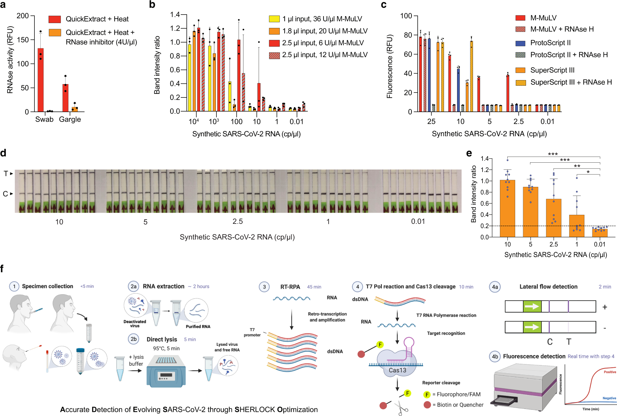 Rapid, adaptable and sensitive Cas13-based COVID-19 diagnostics using  ADESSO | Nature Communications