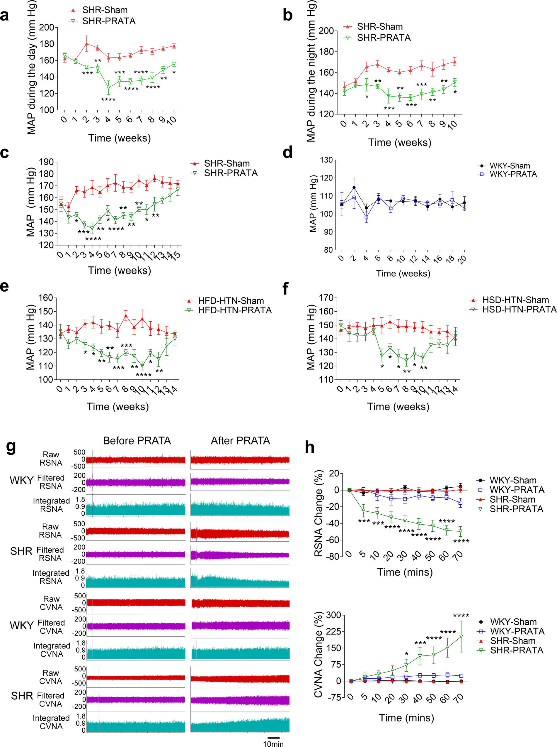Fig. 2: Effects of PRATA on hypertension of different causes and sympathetic output.
