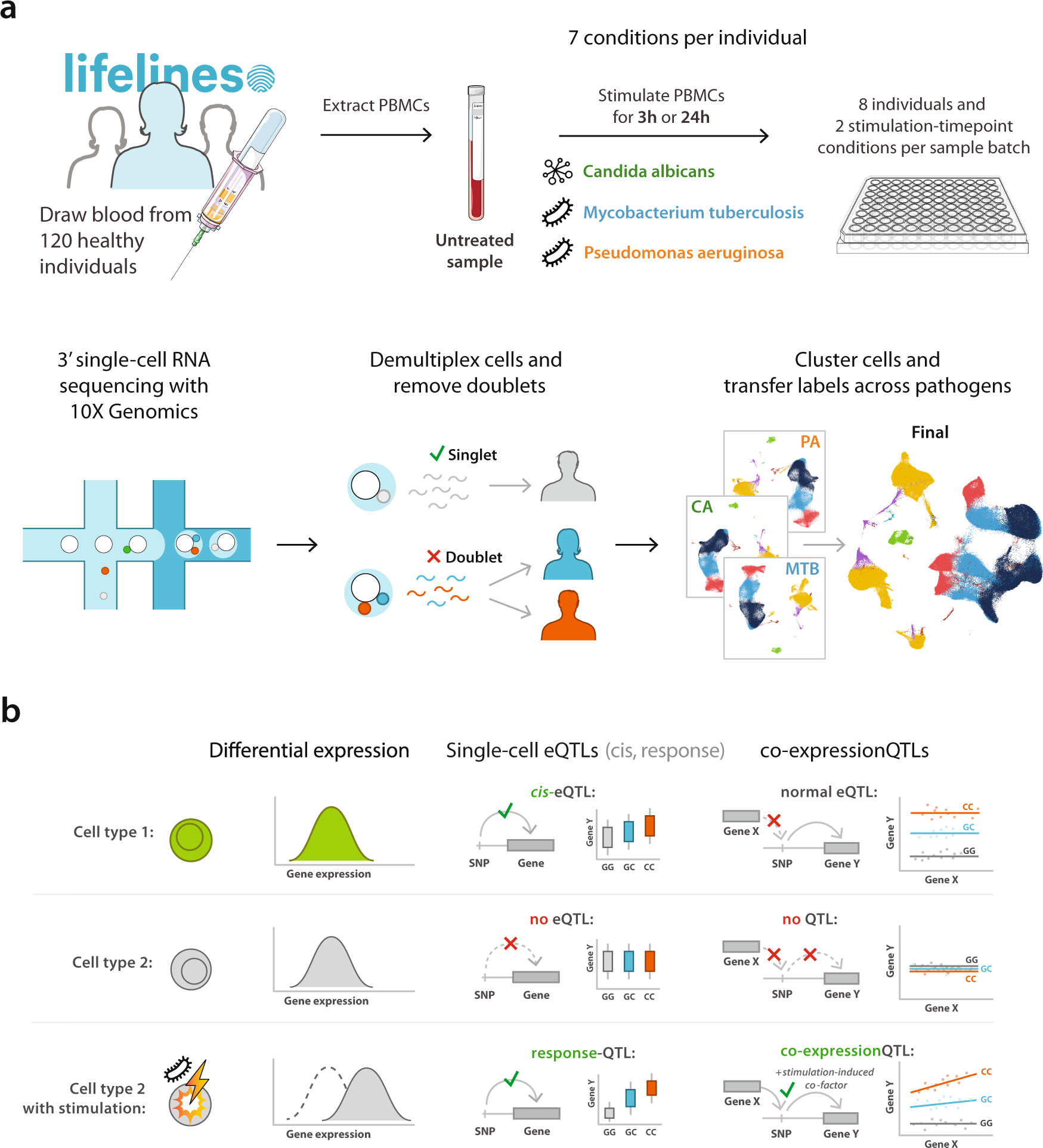 Single-cell RNA-sequencing of peripheral blood mononuclear cells reveals  widespread, context-specific gene expression regulation upon pathogenic  exposure | Nature Communications