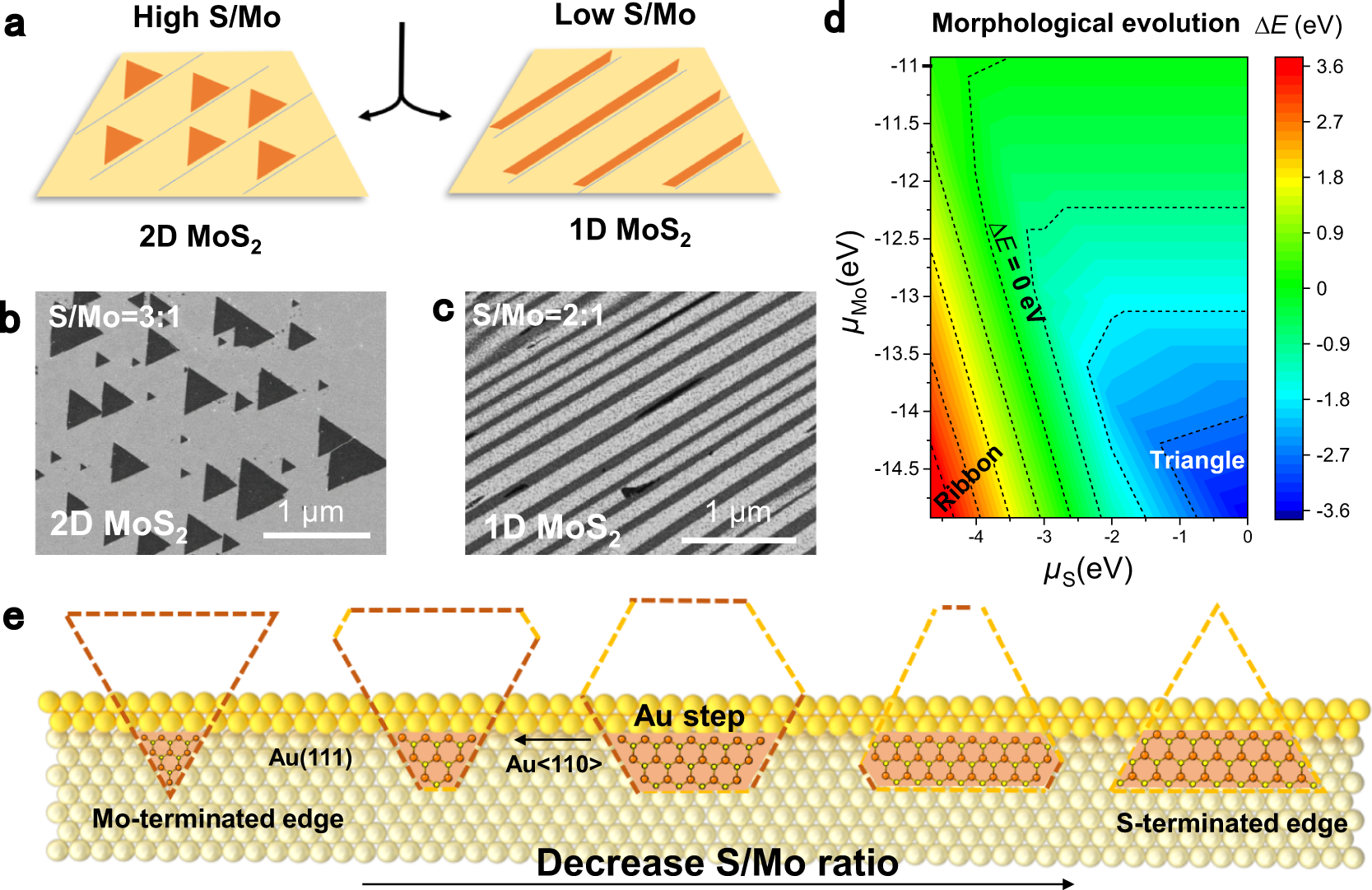 Epitaxial growth of inch-scale single-crystal transition metal  dichalcogenides through the patching of unidirectionally orientated ribbons  | Nature Communications