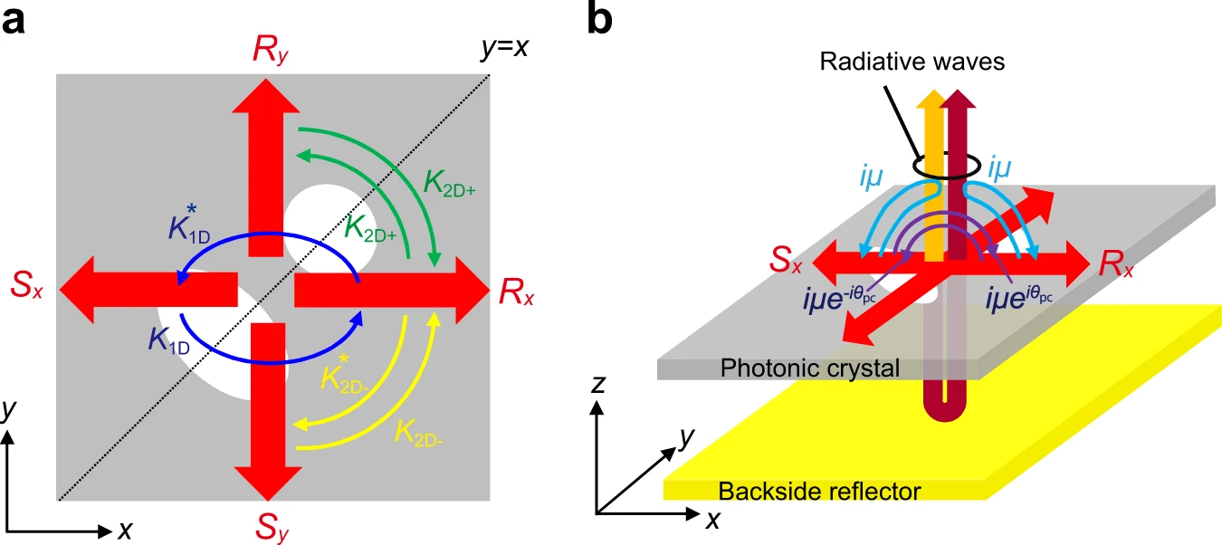 Hermitian and non-Hermitian optical couplings inside PCSELs. a Hermitian couplings between the four fundamental waves $(R_x, S_x, R_y, S_y)$ inside a PCSEL. b Non-Hermitian couplings via radiated waves, where a backside reflector is used for the control of the non-Hermitian coupling coefficient $i/mu$.