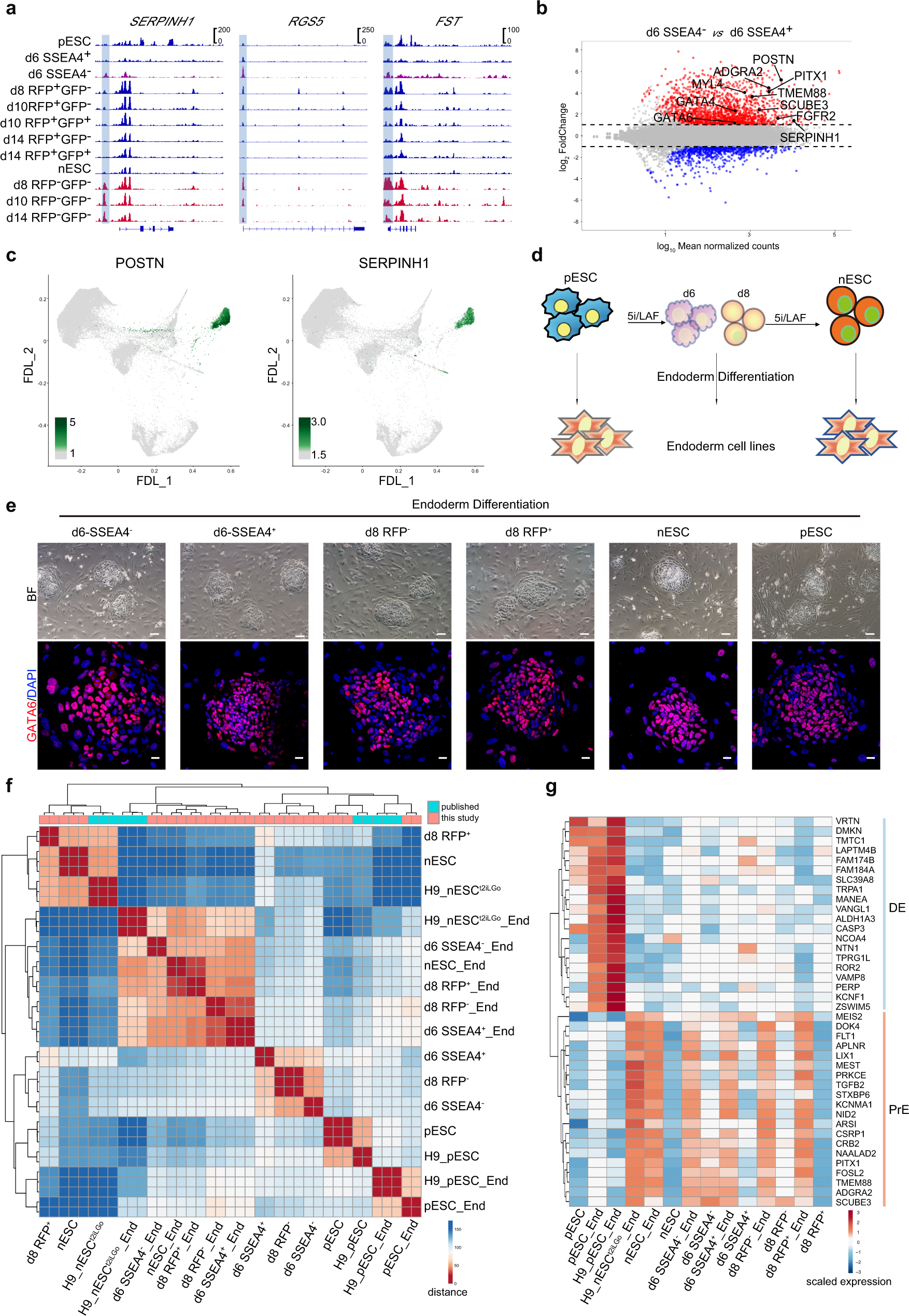 Fig. 5: PrE signatures during the primed-to-naive transition.