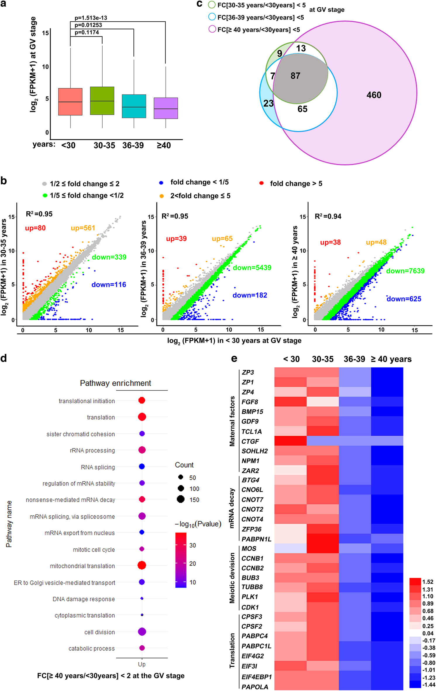 Histone methyltransferases Setd1b increases H3K4me3 level to