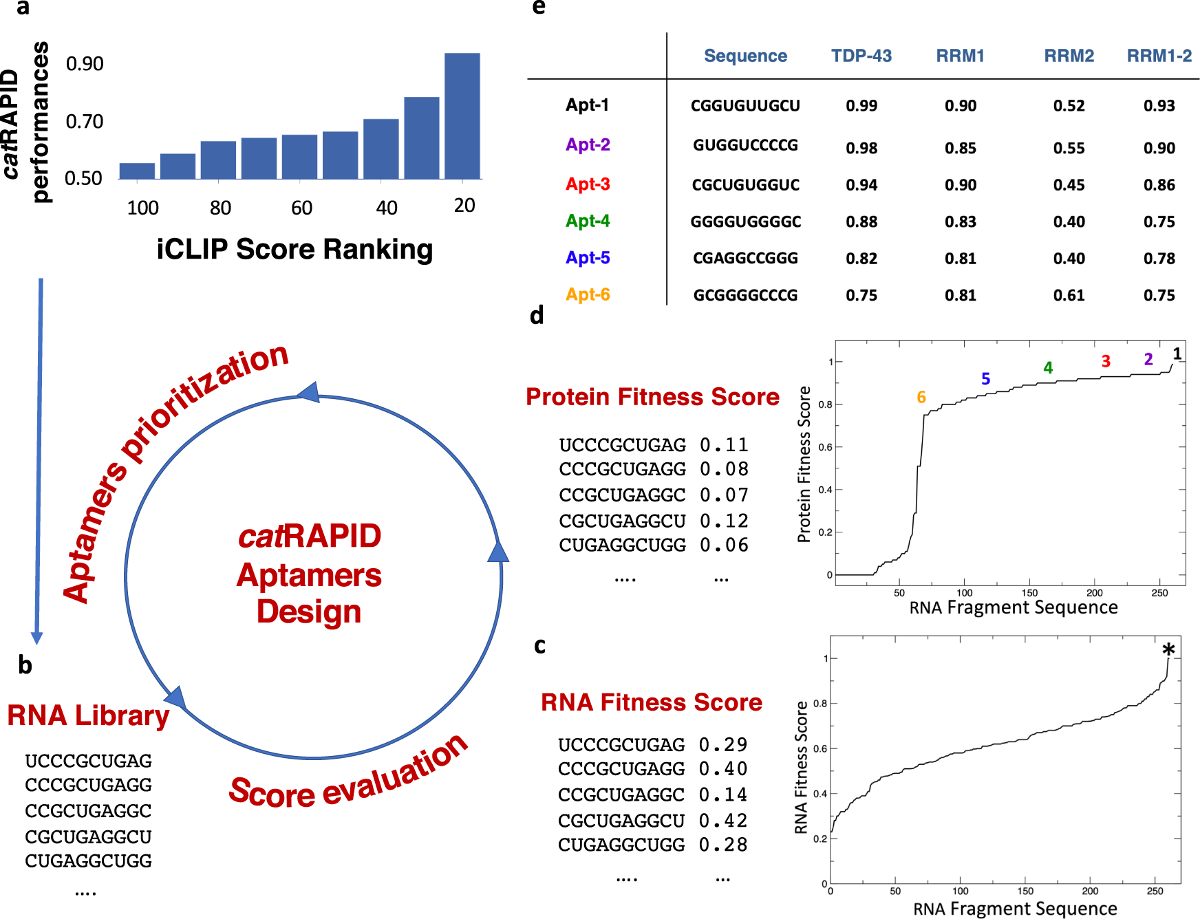 Probing TDP-43 condensation using an in silico designed aptamer | Nature  Communications