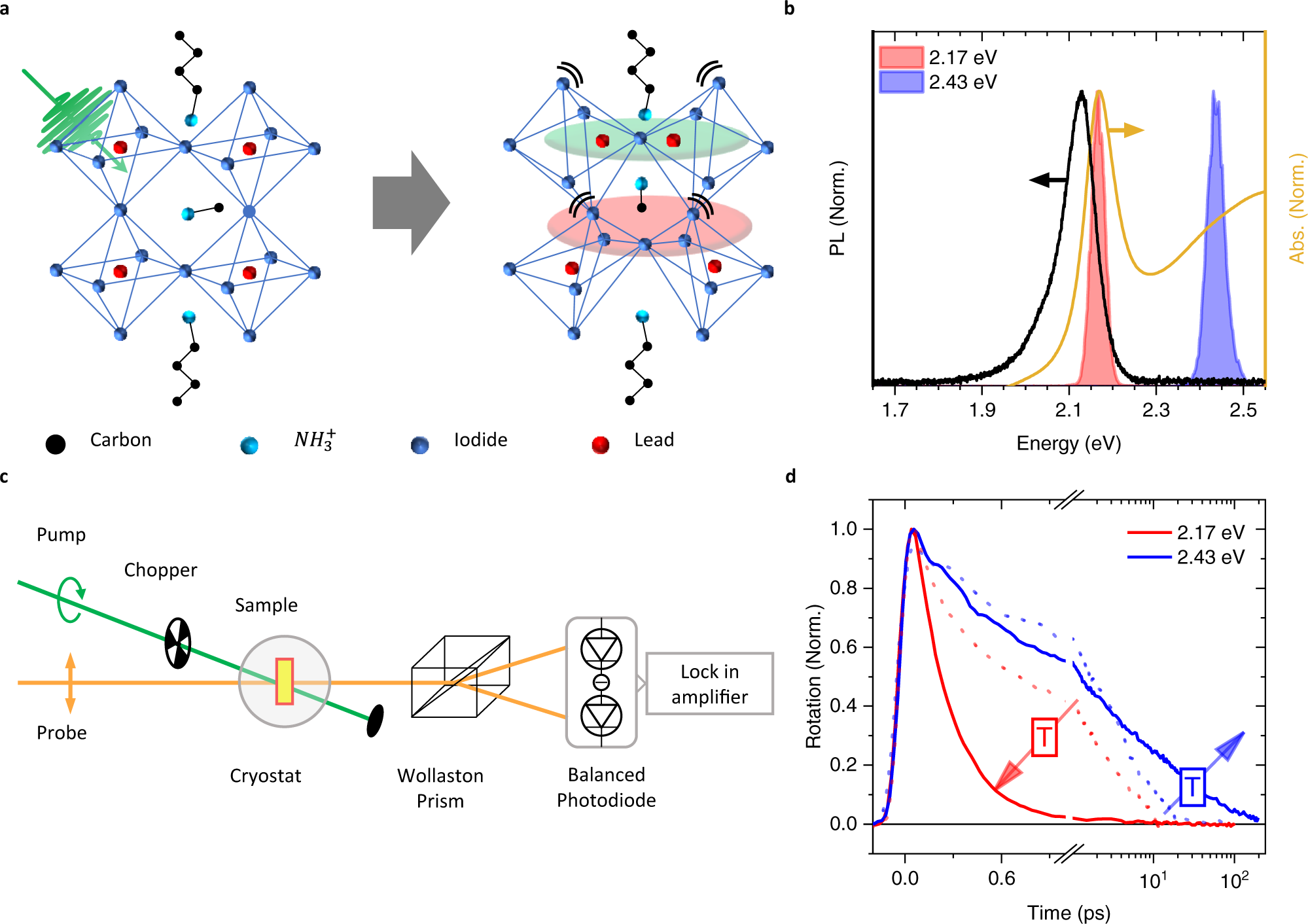 Optical control of exciton spin dynamics in layered metal halide  perovskites via polaronic state formation | Nature Communications