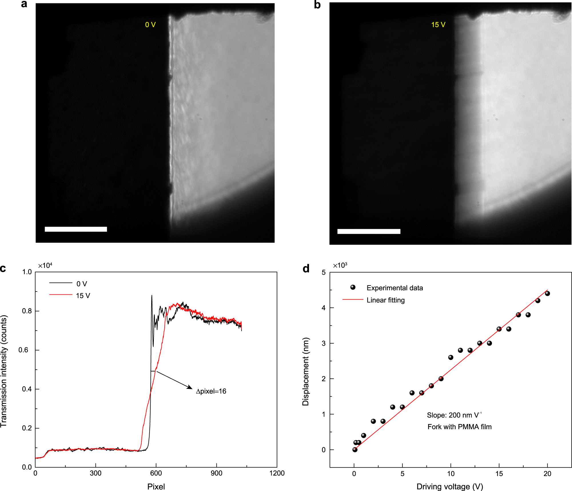 Fig. 3: Characterization of the displacement of the tuning fork as a function of the driving voltage.