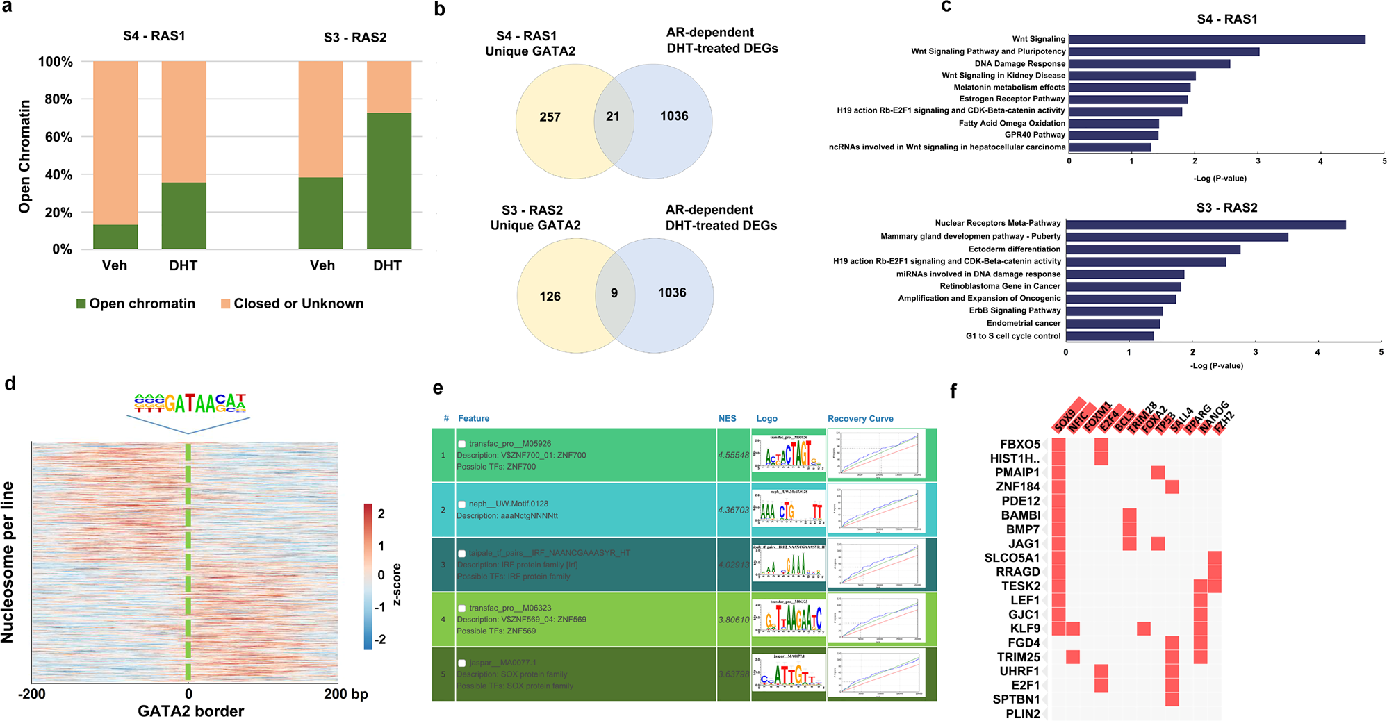 Fig. 5: GATA2 governing nucleosome states switching from Veh to DHT-treated conditions.