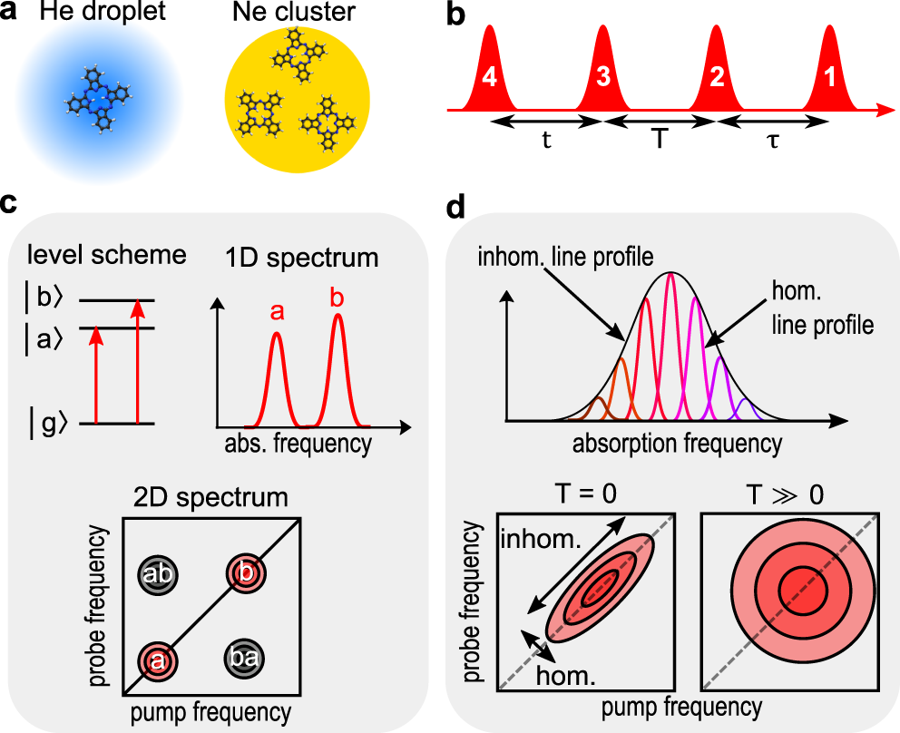 High Resolution Two Dimensional Electronic Spectroscopy Reveals The Homogeneous Line Profile Of Chromophores Solvated In Nanoclusters Nature Communications
