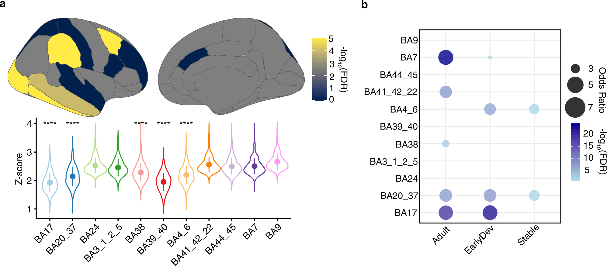Fig. 5: Leave one region out (LoRo) analysis underscores the importance of specific brain regions.