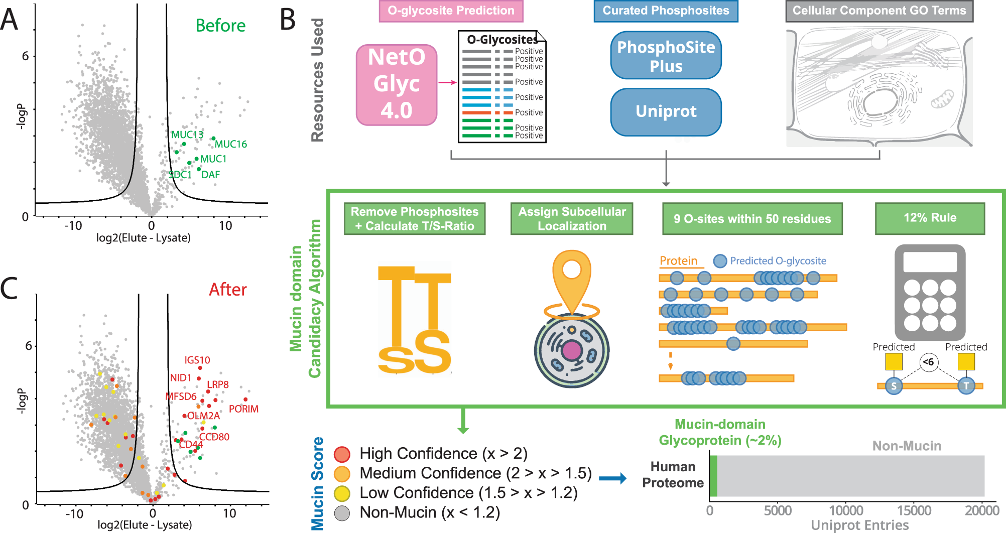 Fig. 2: Mucin-domain candidacy algorithm for confident assignment of mucin-domain glycoproteins.