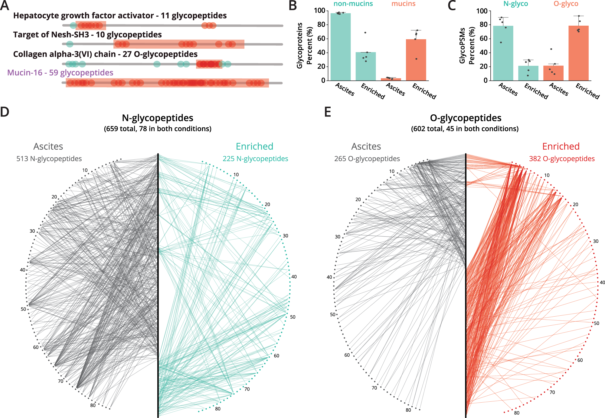 Fig. 6: O-glycopeptides are highly abundant in the ascites enrichment.